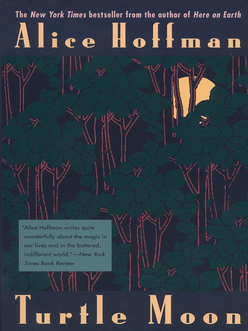 Title details for Turtle Moon by Alice Hoffman - Wait list